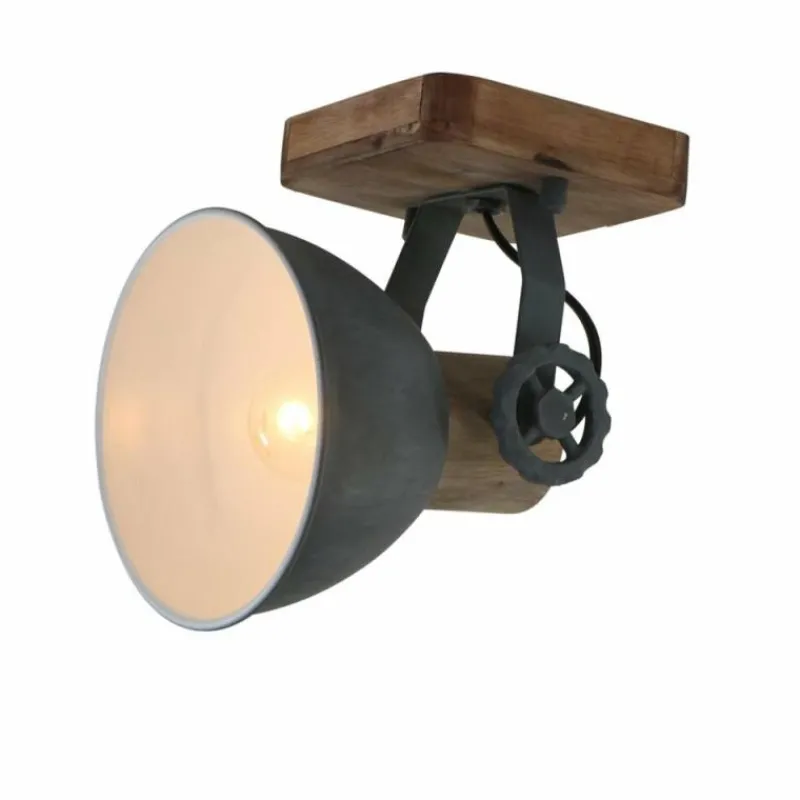 Luminaires Steinhauer Spot Steinhauer GEARWOOD Gris, 1 lumière