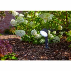 Luminaires Lutec Spot sur pieu Lutec Dakota LED Anthracite, 1 lumière