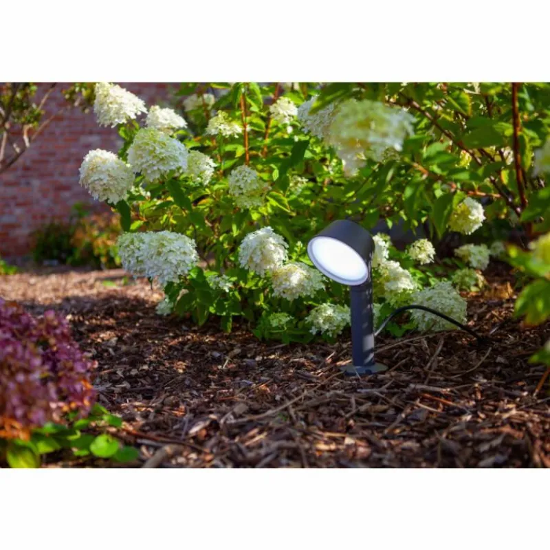 Luminaires Lutec Spot sur pieu Lutec Dakota LED Anthracite, 1 lumière