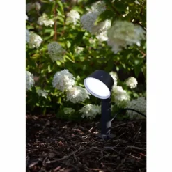 Luminaires Lutec Spot sur pieu Lutec Dakota LED Anthracite, 1 lumière