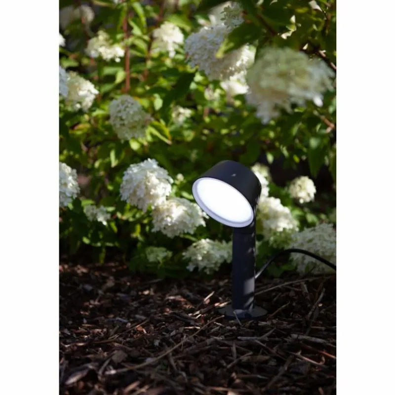Luminaires Lutec Spot sur pieu Lutec Dakota LED Anthracite, 1 lumière
