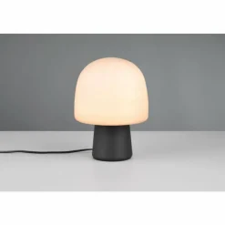 Luminaires Trio Steen Lampe à poser Noir, 1 lumière