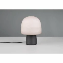 Luminaires Trio Steen Lampe à poser Noir, 1 lumière