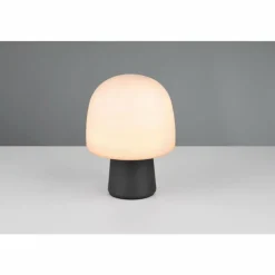 Luminaires Trio Steen Lampe à poser Noir, 1 lumière