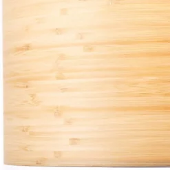 Luminaires Brilliant Suspension Brilliant-Leuchten Romm Noir, 1 lumière* Suspensions