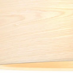 Luminaires Brilliant Suspension Brilliant-Leuchten Romm Noir, 2 lumières* Suspensions