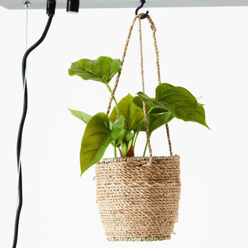 Style Boho-Chic-Luminaires Brilliant Suspension Brilliant-Leuchten Bankwood Noir, 3 lumières