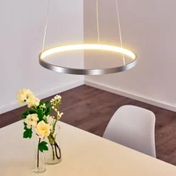 hofstein Suspension Canisteo LED Argenté, 1 lumière* Suspensions