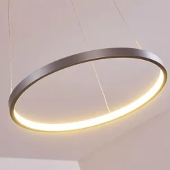 hofstein Suspension Canisteo LED Argenté, 1 lumière* Suspensions