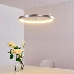 hofstein Suspension Canisteo LED Argenté, 1 lumière* Suspensions