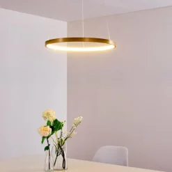 Lampes Dorées-hofstein Suspension Canisteo LED Or, 1 lumière