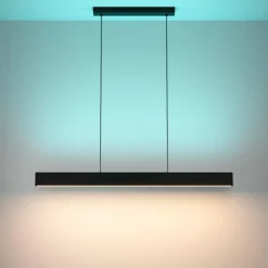 Luminaires Eglo Suspension Eglo ANDREAS-Z LED Noir, 2 lumières, Changeur de couleurs