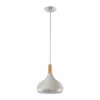 Luminaires Scandinaves-Luminaires Eglo Suspension Eglo SABINAR Acier inoxydable, Argenté, 1 lumière