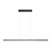 Luminaires Eglo Suspension Eglo TARANDELL LED Noir, 2 lumières* Suspensions