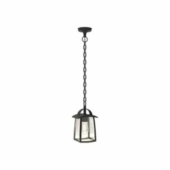 Luminaires Lutec Suspension extérieure Lutec Kelsey Noir, 1 lumière