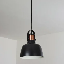 Lampes Industrielles-hofstein Suspension Fieberbrunn Noir, 1 lumière