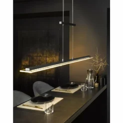 Luminaires Fischer & Honsel Suspension Fischer & Honsel living Tenso TW LED Anthracite, 1 lumière