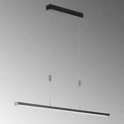 Luminaires Fischer & Honsel Suspension Fischer & Honsel Vitan TW LED Noir, 1 lumière* Suspensions