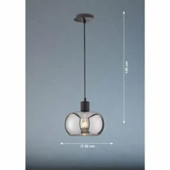 Suspension Verre Fumé-Luminaires Fischer & Honsel Suspension Fischer & Honsel Dima Noir, 1 lumière