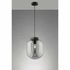 Suspension Verre Fumé-Luminaires Fischer & Honsel Suspension Fischer & Honsel Regi Noir, 1 lumière