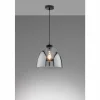 Suspension Verre Fumé-Luminaires Fischer & Honsel Suspension Fischer & Honsel Ren Noir, 1 lumière