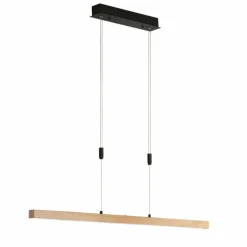 Luminaires Fischer & Honsel Suspension Fischer & Honsel Straßburg LED Noir, 1 lumière* Éclairage Led