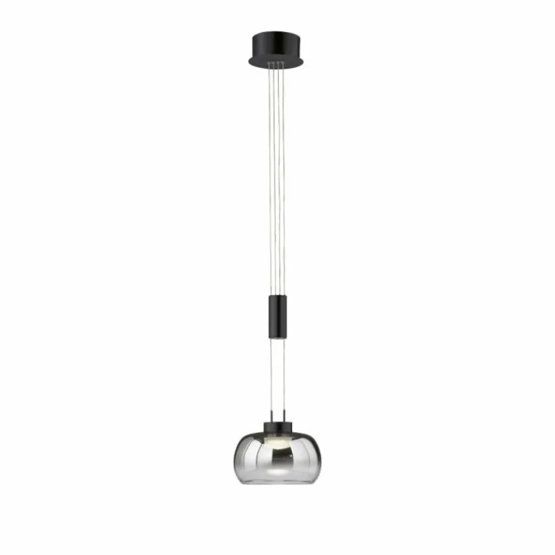 Suspension Verre Fumé-Luminaires Fischer & Honsel Suspension Fischer & Honsel Arosa LED Noir, 1 lumière