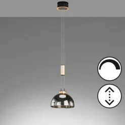 Suspension Verre Fumé-Luminaires Fischer & Honsel Suspension Fischer & Honsel Avignon LED Noir, 1 lumière