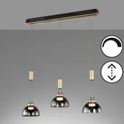Suspension Verre Fumé-Luminaires Fischer & Honsel Suspension Fischer & Honsel Avignon LED Noir, 3 lumières