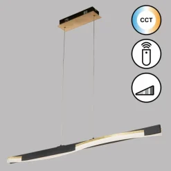 Luminaires Fischer & Honsel Suspension Fischer & Honsel Bridge LED Noir, 1 lumière, Télécommandes