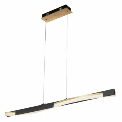 Luminaires Fischer & Honsel Suspension Fischer & Honsel Bridge LED Noir, 1 lumière, Télécommandes