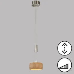 Luminaires Fischer & Honsel Suspension Fischer & Honsel SHINE-WOOD LED Nickel mat, 1 lumière* Suspensions