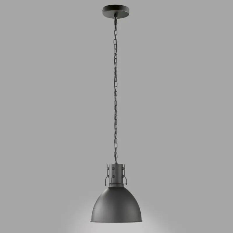 Luminaires Fischer & Honsel Suspension Fischer-Honsel Thor Noir, 1 lumière* Suspensions