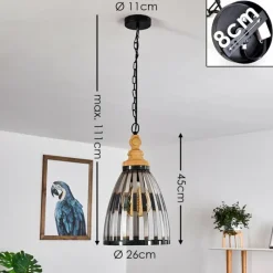 Luminaires Rustiques-hofstein Suspension Flaine Brun, Noir, 1 lumière