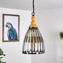 Luminaires Rustiques-hofstein Suspension Flaine Brun, Noir, 1 lumière