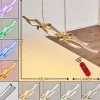 hofstein Suspension Gamsen LED Acier brossé, 3 lumières, Télécommandes, Changeur de couleurs