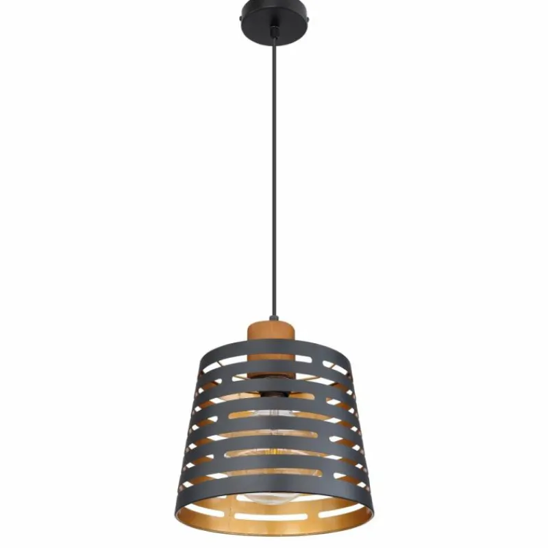 Luminaires Globo Lighting Suspension Globo ABLONA Noir, 1 lumière* Suspensions