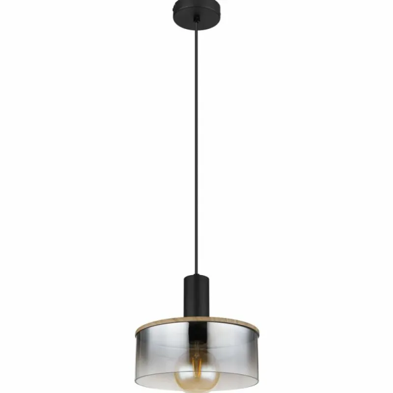 Suspension Verre Fumé-Luminaires Globo Lighting Suspension Globo CLASSIS Noir, 1 lumière