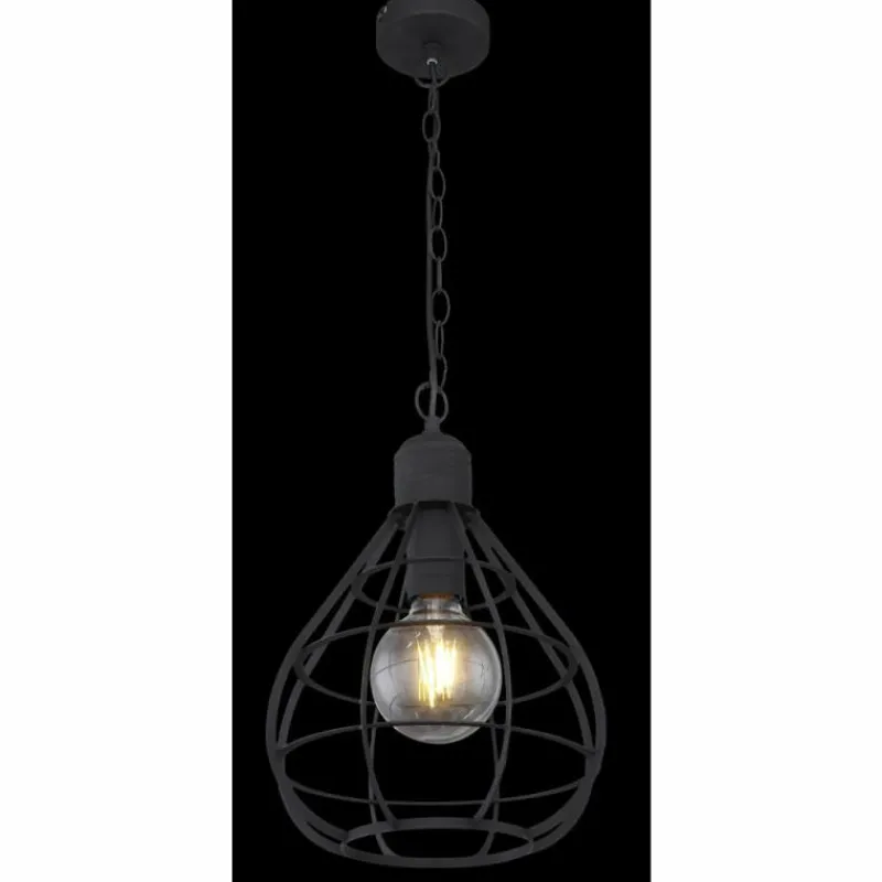 Luminaires Globo Lighting Suspension Globo CLASTRA Noir, 1 lumière* Suspensions