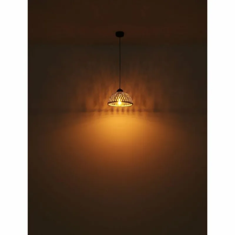 Luminaires Globo Lighting Suspension Globo COLLY Noir, 1 lumière* Suspensions