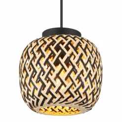 Luminaires Globo Lighting Suspension Globo COLLY Noir, 1 lumière* Suspensions