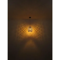 Luminaires Globo Lighting Suspension Globo COLLY Noir, 1 lumière* Suspensions