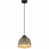Luminaires Globo Lighting Suspension Globo COLLY Noir, 1 lumière* Suspensions