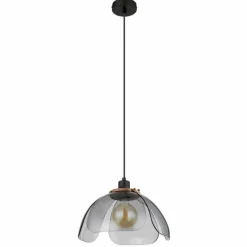 Suspension Verre Fumé-Luminaires Globo Lighting Suspension Globo DAWAR Noir, 1 lumière