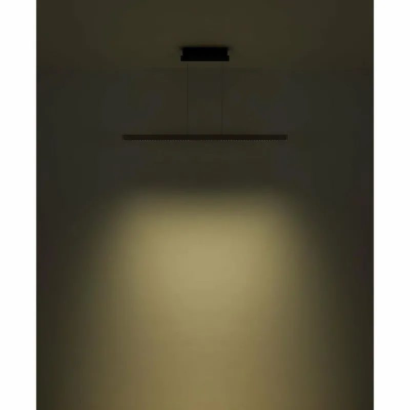 Luminaires Globo Lighting Suspension Globo DENTSY LED Noir, 1 lumière* Suspensions