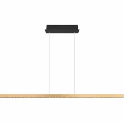 Luminaires Globo Lighting Suspension Globo DENTSY LED Noir, 1 lumière* Éclairage Led