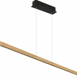 Luminaires Globo Lighting Suspension Globo DENTSY LED Noir, 1 lumière* Éclairage Led