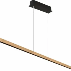 Luminaires Globo Lighting Suspension Globo DENTSY LED Noir, 1 lumière* Éclairage Led