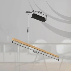 Luminaires Globo Lighting Suspension Globo DENTSY LED Noir, 1 lumière* Éclairage Led