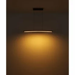 Lampes En Bois-Luminaires Globo Lighting Suspension Globo DORO LED Gris, Couleur bois, 1 lumière